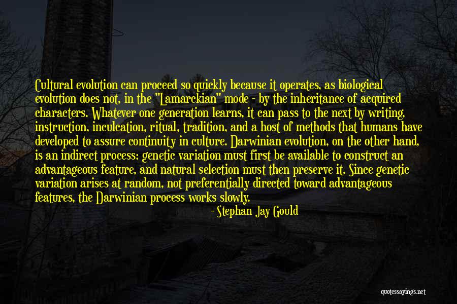 Genetic Inheritance Quotes By Stephan Jay Gould Genetic Inheritance Quotes By Stephan Jay Gould