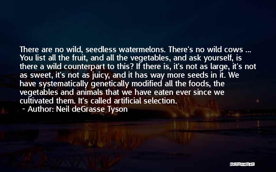 Genetically Modified Foods Quotes By Neil DeGrasse Tyson