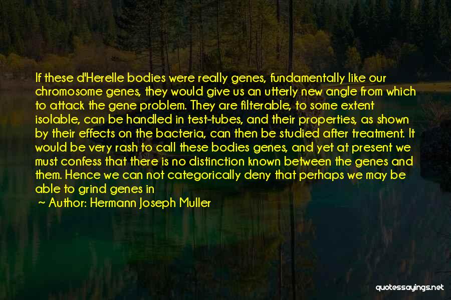 Geneticists Quotes By Hermann Joseph Muller