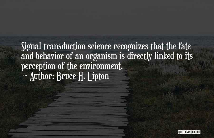Genetics Quotes By Bruce H. Lipton