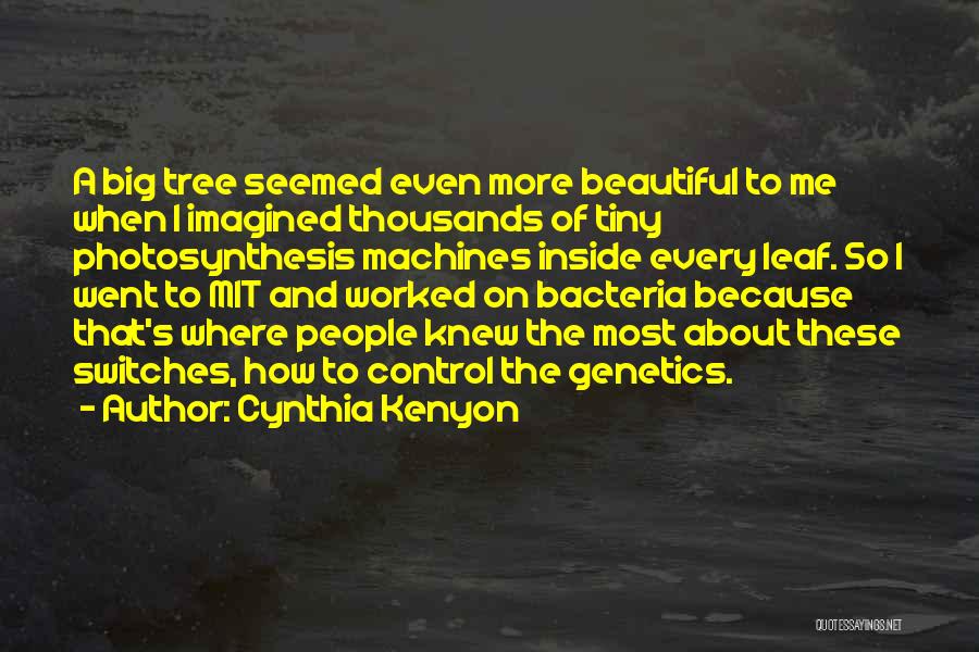 Genetics Quotes By Cynthia Kenyon