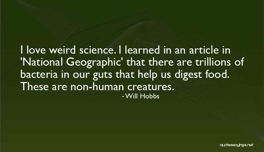 Genicotti Quotes By Will Hobbs Genicotti Quotes By Will Hobbs