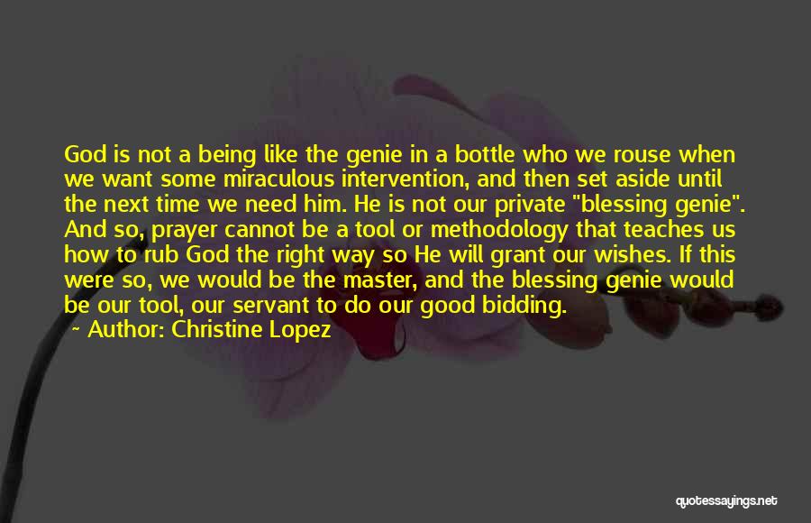 Genie In A Bottle Quotes By Christine Lopez