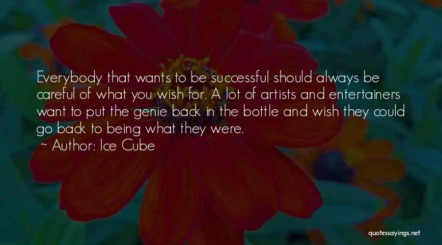 Genie In A Bottle Quotes By Ice Cube
