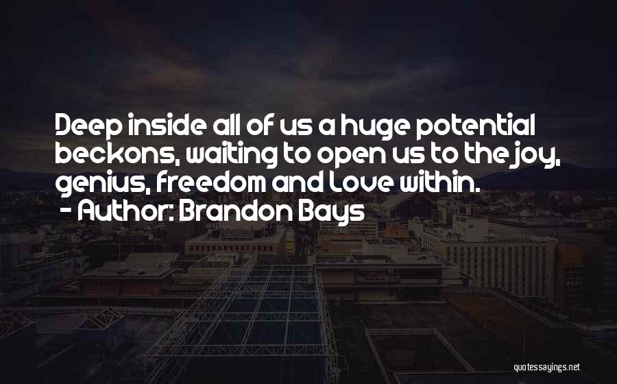 Genius And Love Quotes By Brandon Bays