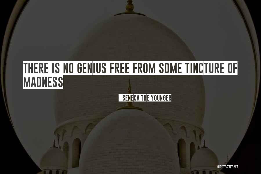Genius And Madness Quotes By Seneca The Younger Genius And Madness Quotes By Seneca The Younger