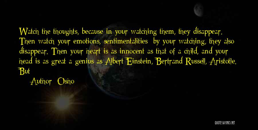 Genius Einstein Quotes By Osho