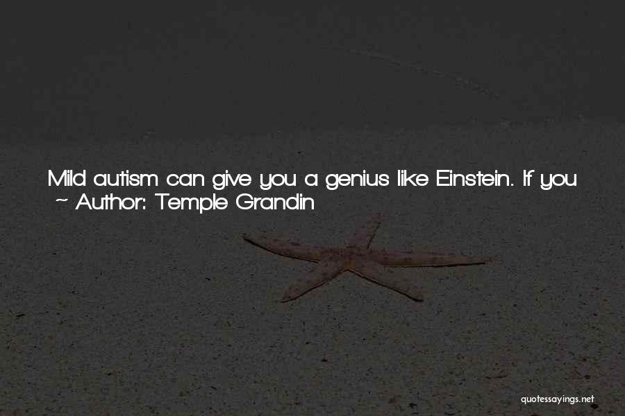 Genius Einstein Quotes By Temple Grandin