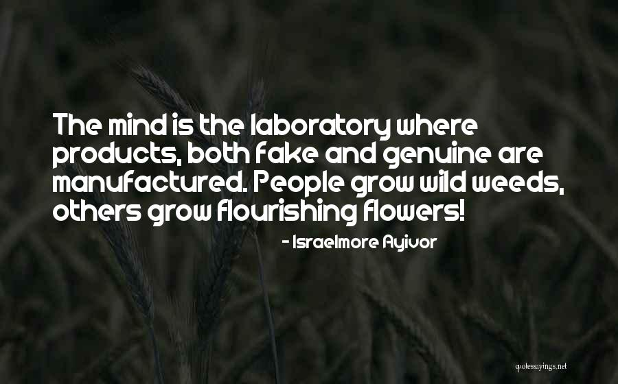 Genius Mind Quotes By Israelmore Ayivor Genius Mind Quotes By Israelmore Ayivor