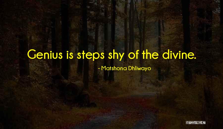 Genius Quotes Quotes By Matshona Dhliwayo Genius Quotes Quotes By Matshona Dhliwayo