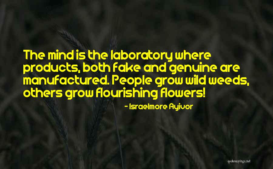 Genius Thinking Quotes By Israelmore Ayivor Genius Thinking Quotes By Israelmore Ayivor