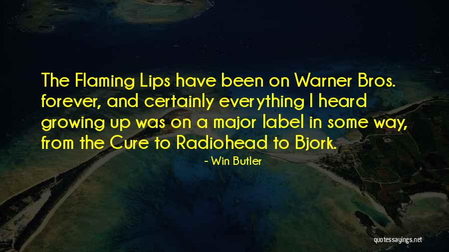 Genkinger Brewery Quotes By Win Butler Genkinger Brewery Quotes By Win Butler