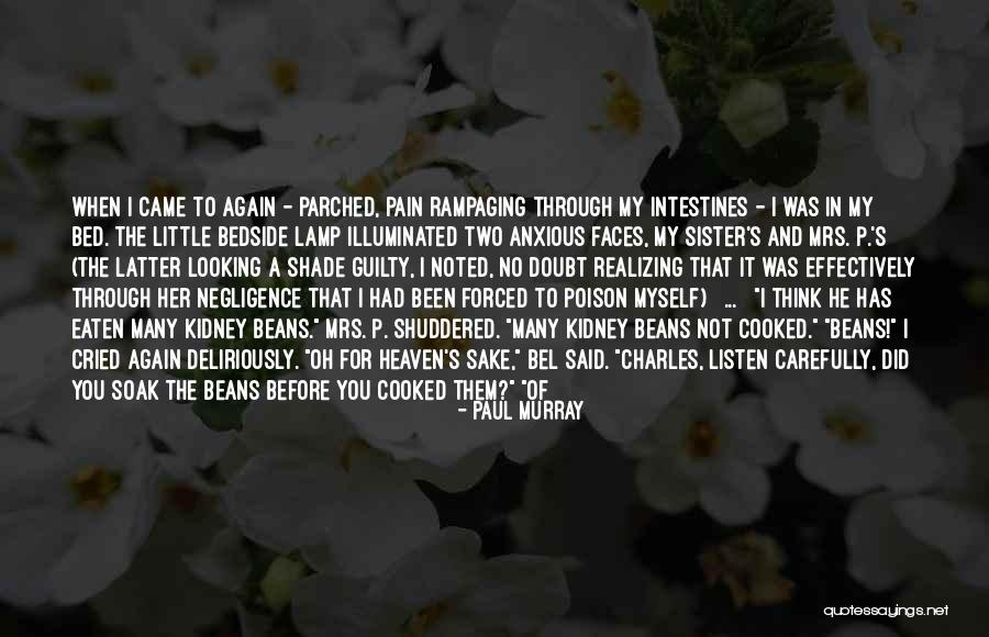 Gennadios Sxoli Quotes By Paul Murray Gennadios Sxoli Quotes By Paul Murray