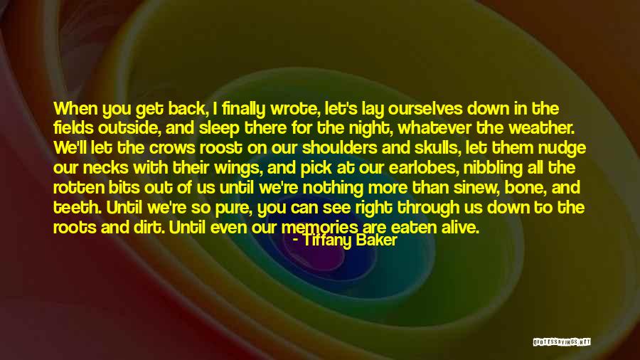 Genno Jennings Quotes By Tiffany Baker Genno Jennings Quotes By Tiffany Baker