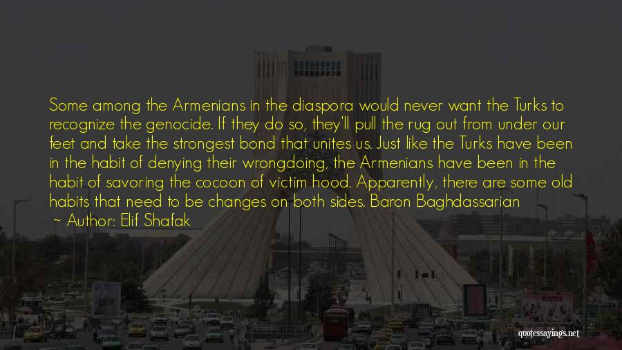 Genocide Quotes By Elif Shafak