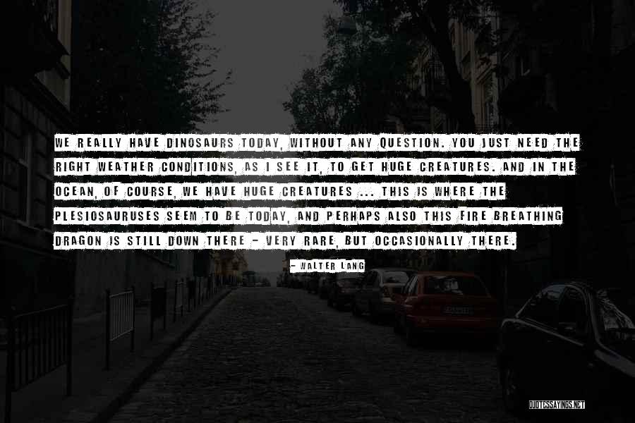 Genocidio Americano Quotes By Walter Lang Genocidio Americano Quotes By Walter Lang