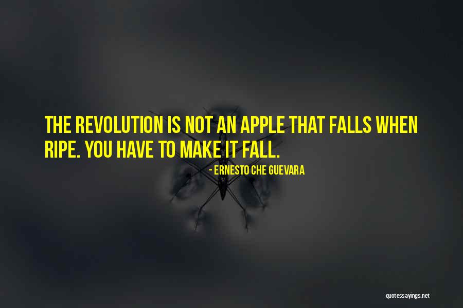 Genomic Dna Quotes By Ernesto Che Guevara