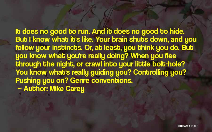 Genre Conventions Quotes By Mike Carey