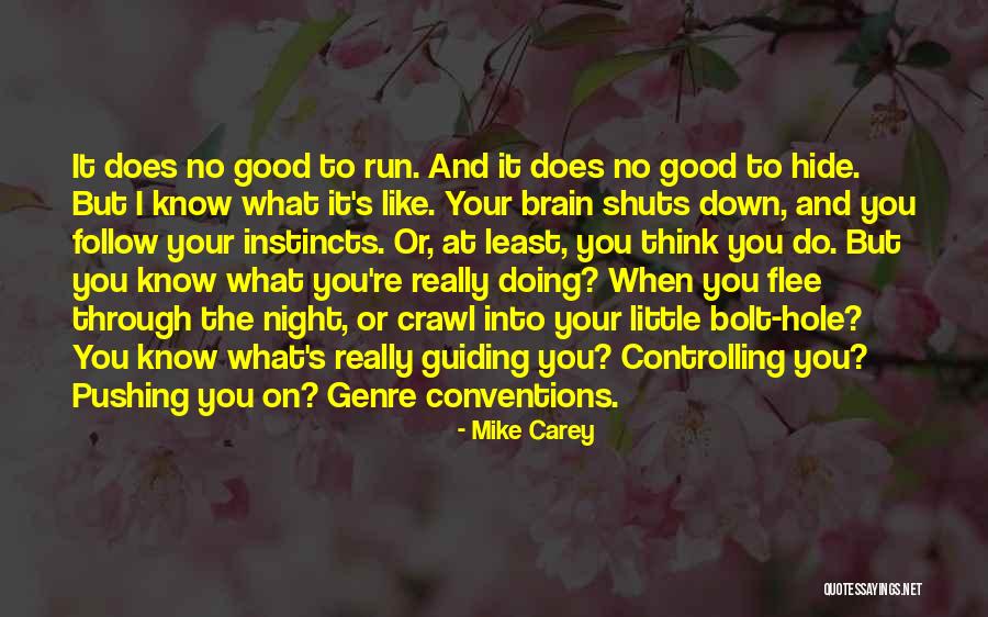 Genre Conventions Quotes By Mike Carey