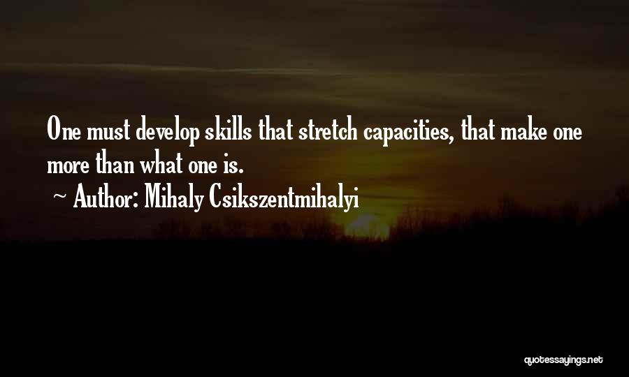 Gente Loca Quotes By Mihaly Csikszentmihalyi