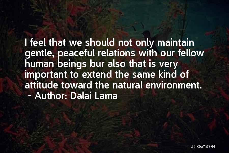 Gentle Kind Quotes By Dalai Lama