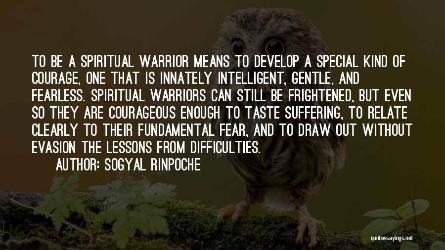 Gentle Kind Quotes By Sogyal Rinpoche