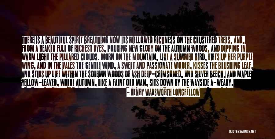 Gentle Spirit Quotes By Henry Wadsworth Longfellow Gentle Spirit Quotes By Henry Wadsworth Longfellow