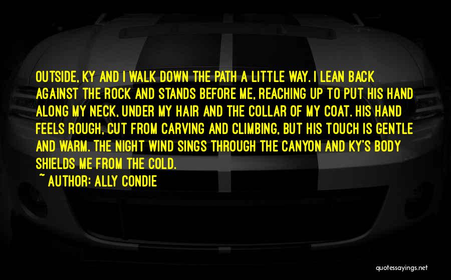 Gentle Touch Quotes By Ally Condie