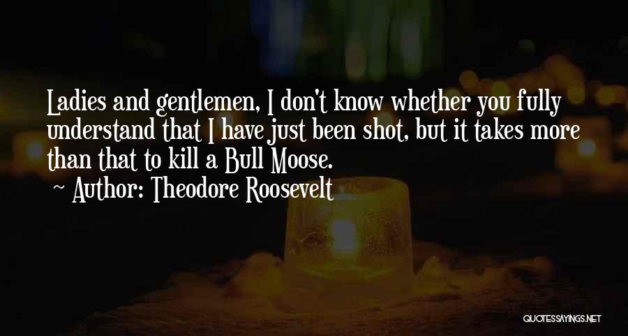 Gentleman And Ladies Quotes By Theodore Roosevelt