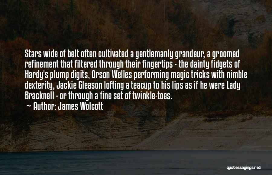 Gentlemanly Quotes By James Wolcott