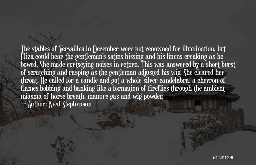 Gentleman's Quotes By Neal Stephenson
