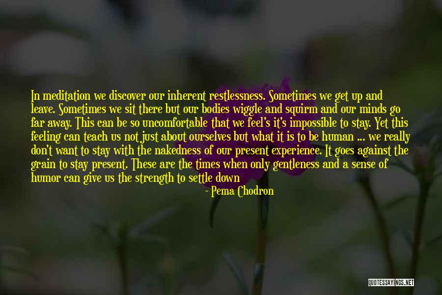 Gentleness And Kindness Quotes By Pema Chodron