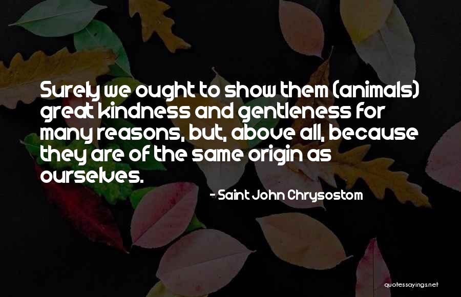 Gentleness And Kindness Quotes By Saint John Chrysostom