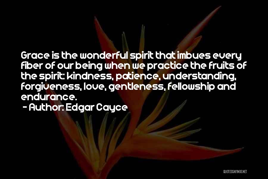 Gentleness Of Spirit Quotes By Edgar Cayce