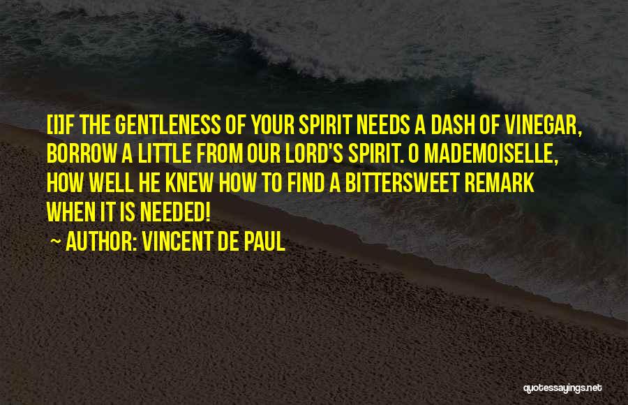 Gentleness Of Spirit Quotes By Vincent De Paul