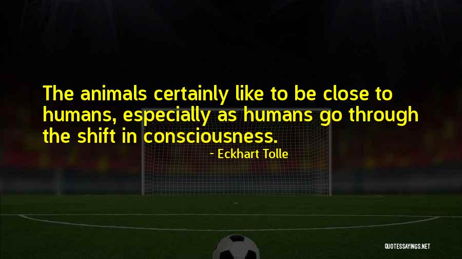 Genugtuung English Quotes By Eckhart Tolle Genugtuung English Quotes By Eckhart Tolle