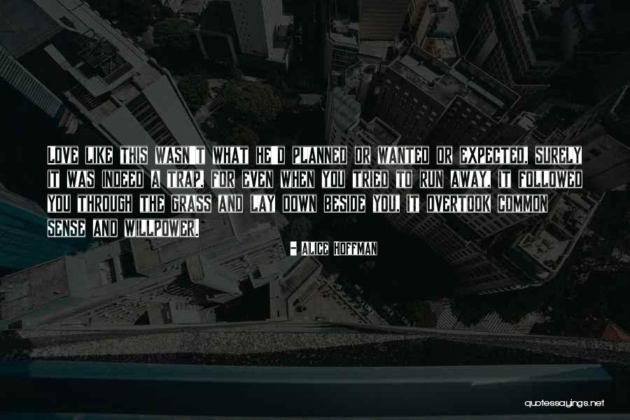 Geografija 7 Quotes By Alice Hoffman Geografija 7 Quotes By Alice Hoffman