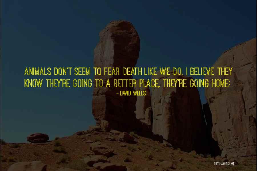 Geographie Physique Quotes By David Wells