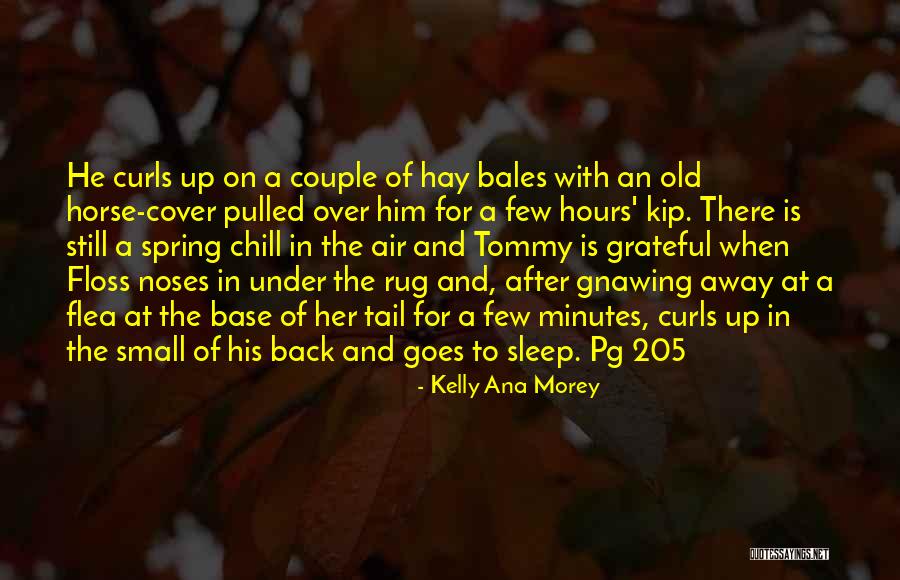 Geographies Quotes By Kelly Ana Morey Geographies Quotes By Kelly Ana Morey
