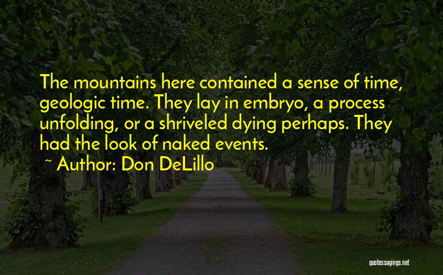 Geologic Time Quotes By Don DeLillo