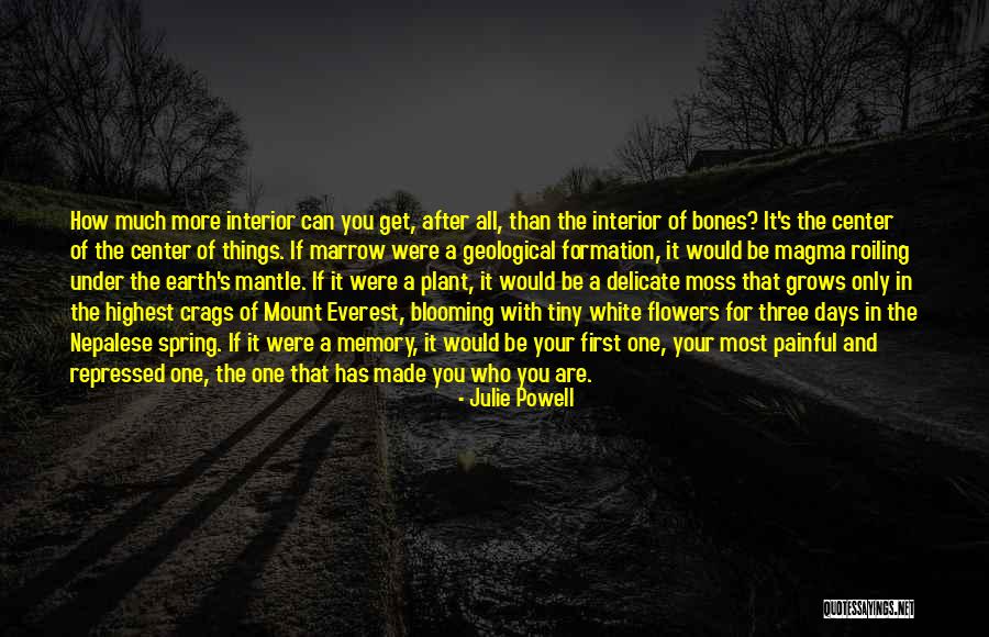 Geological Quotes By Julie Powell Geological Quotes By Julie Powell