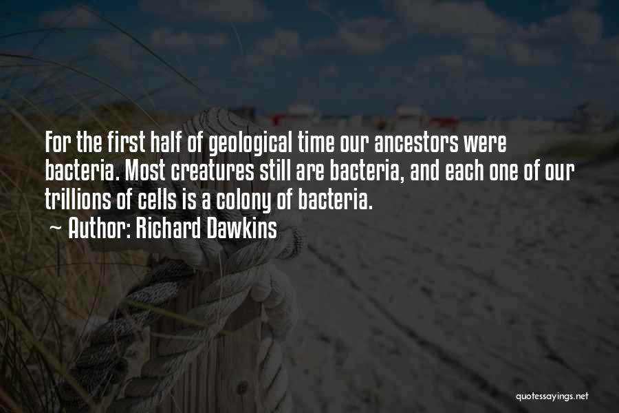 Geological Quotes By Richard Dawkins
