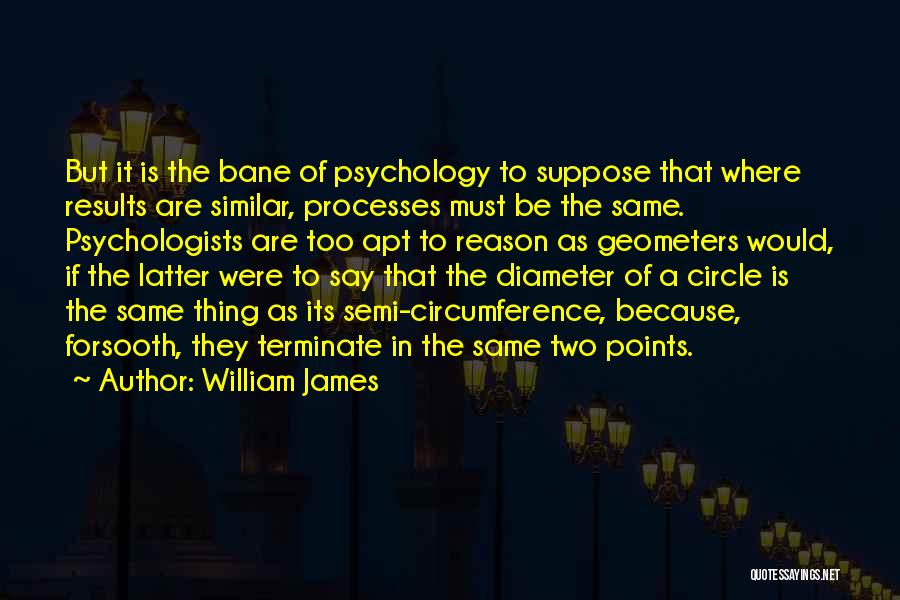 Geometers Quotes By William James