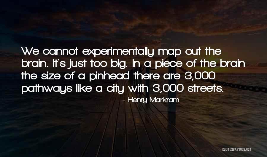 Geometria Descritiva Quotes By Henry Markram Geometria Descritiva Quotes By Henry Markram