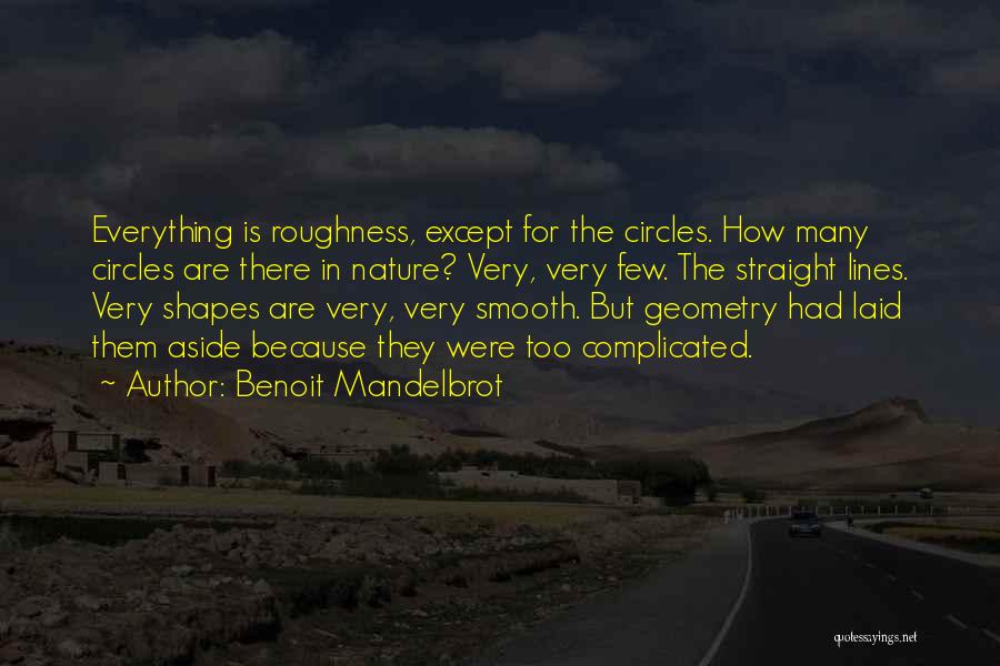 Geometry In Nature Quotes By Benoit Mandelbrot