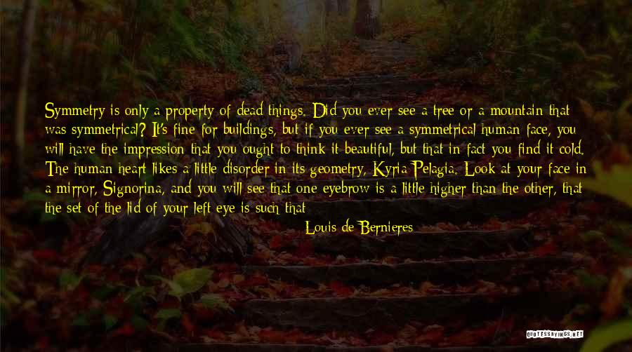 Geometry Quotes By Louis De Bernieres