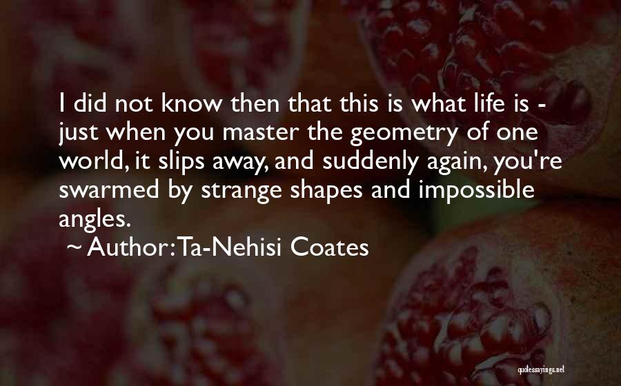 Geometry Quotes By Ta-Nehisi Coates