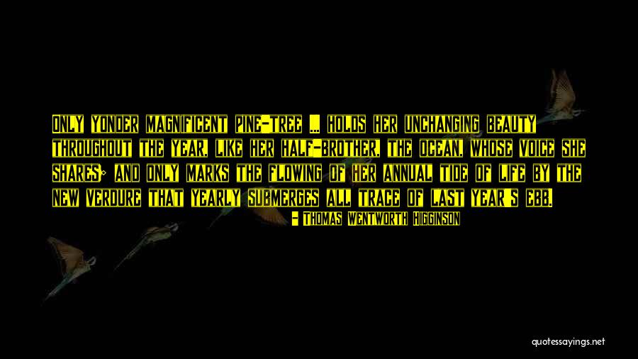 Geordy Cunningham Quotes By Thomas Wentworth Higginson Geordy Cunningham Quotes By Thomas Wentworth Higginson
