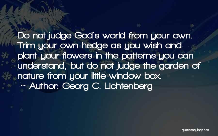 Georg C. Lichtenberg Quotes 1673952