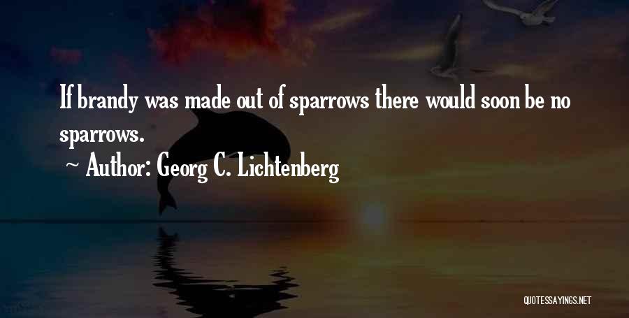 Georg C. Lichtenberg Quotes 1988330